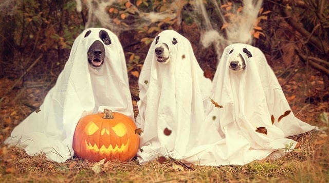 Tropical beach
