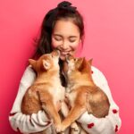 fille 2 chiot shiba inu