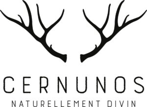 avis Boutique cernunos