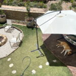 paraol pour chien