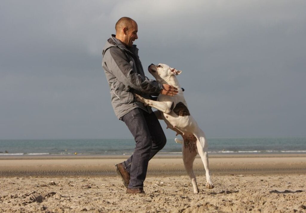 Homme qui joue avec son chien pour lui apprendre le rappel