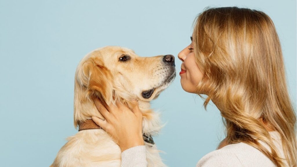 amitié chien humain