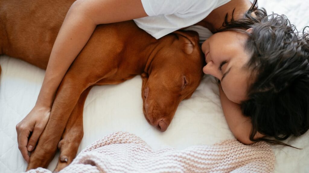 calin avec son chien au lit