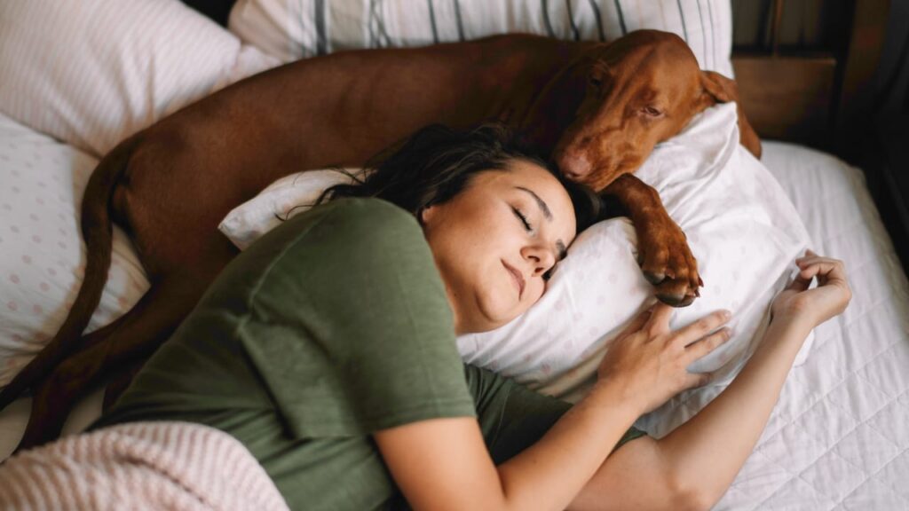 dormir avec son chien bonheur
